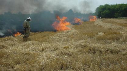 Чому не можна палити суху траву 