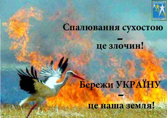 Спалювання сухостою - це злочин!