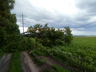 Знеструмлення як наслідок злочинної безвідповідальності 